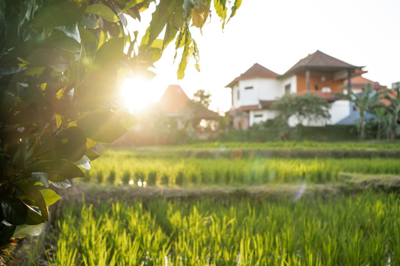 Nick'S Pension Ubud  Bagian luar foto